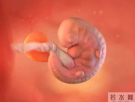 怀孕1-40周，胎儿发育每周变化！孕妈妈的干货科普