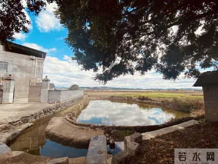 人老了，若没这三分狠心，你的晚年就是儿女眼里的鸡肋，食之无味