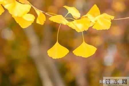 人过七十，最大的聪明是“薄情”：哪怕亲戚再亲，也不要主动