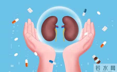 体检发现 3 项指标异常？大概率是慢性肾病早期前兆，别忽视早检查