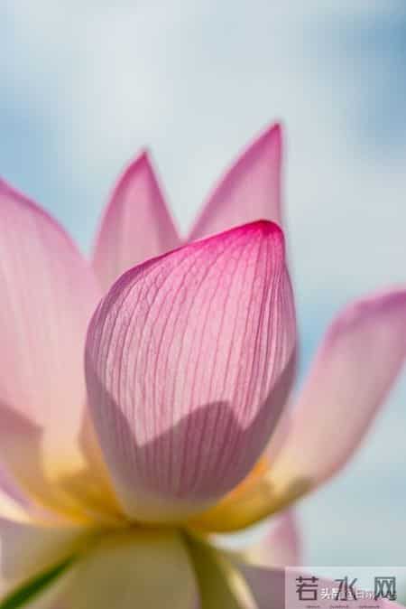 从现在起，每天默念这一句：坏事也能变好事，好运不请都来！