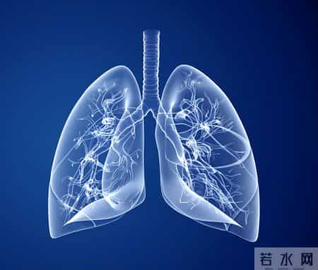 研究发现：猪血可以在28小时内清除肺里80%的毒素，是真的吗 ？