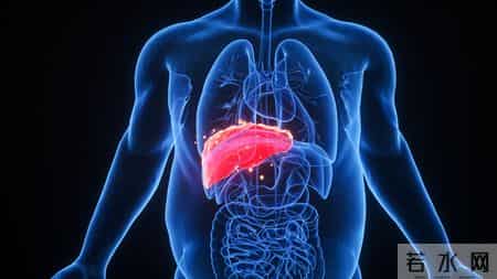 医生研究发现：每日饮酒的癌症早期人，多数临近65岁或有4种异样