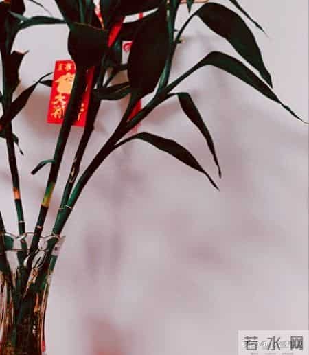 日子长长 总会如愿以偿