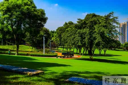 所谓的“见过世面”，不过是让孩子看见父母努力生活的样子