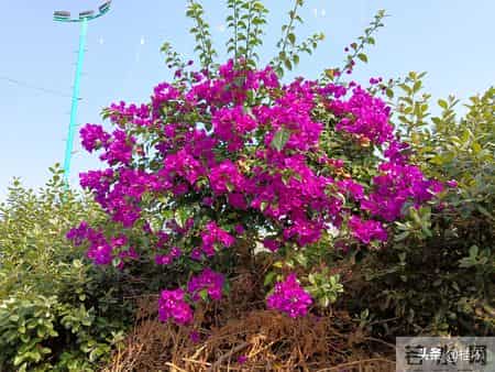 你家孩子就是顶级好命的人，婚姻与事业无需多虑，凡事顺遂