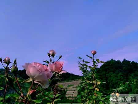 你以为60岁女性都安分？其实过了60岁，女人普遍有这7大隐秘变化