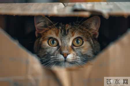 瞎胡闹！23岁男子排尿困难疼痛难忍就医，医生竟取出水蛭