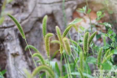 52岁退休阿姨，疯狂找活干的背后，藏着多少心酸