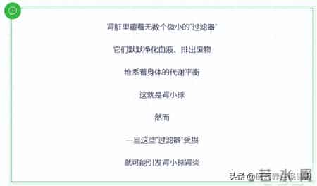 别等肾损伤不可逆！肾小球肾炎藏得深，这些预警症状一定要早察觉