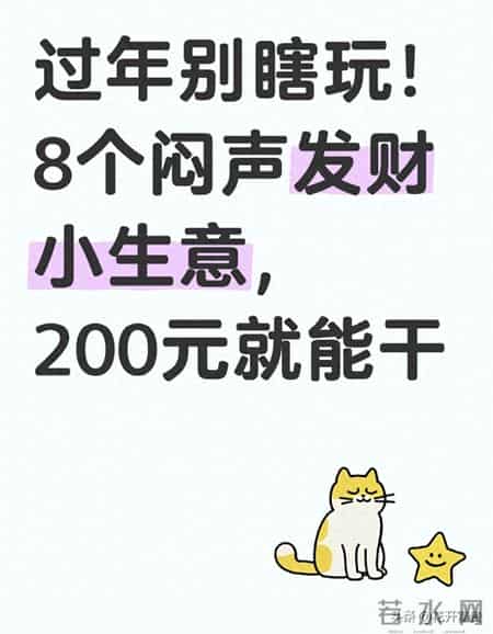 过年别瞎玩！8个闷声发财小生意，200元就能干