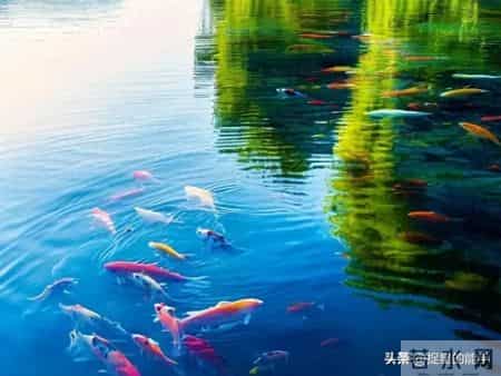 别催了！这三招让孩子主动爱上学习，亲子关系更轻松