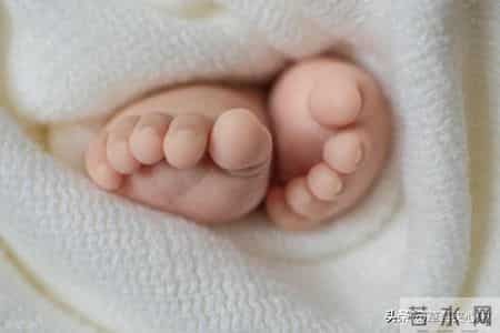 南京爸妈必备！儿童证件“一站式”办理全攻略（2026版）