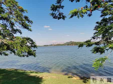 人老了生活无法自理时，哪怕看儿女脸色，也要跟他们同住，为你好