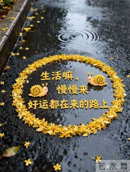 人到晚年才懂，儿子儿媳讨厌你，该让就让