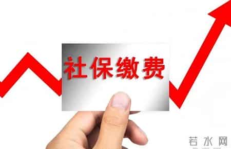 2026年养老金调整新方向：35年以上缴费年限或成最大赢家？