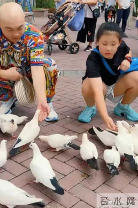 赵本山爱徒程野带妻女游北京野生动物园 妻子颜值吸睛 女儿像爸了