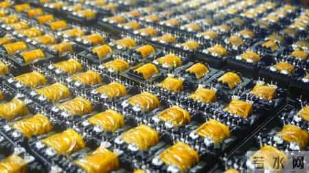 【天眼微镜头·现场直击】变压器企业转型成功，老板却发起了愁：订单再多，没工人做也是白搭｜专场招聘会解了燃眉之急