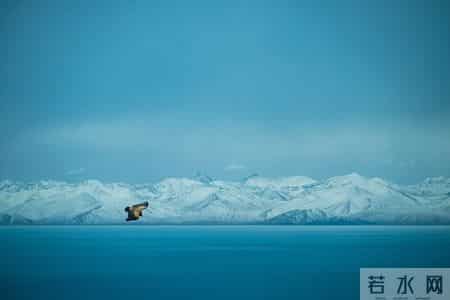 别做那颗“螺丝钉”：有用的人随时被换，有价值的人掌握定价权