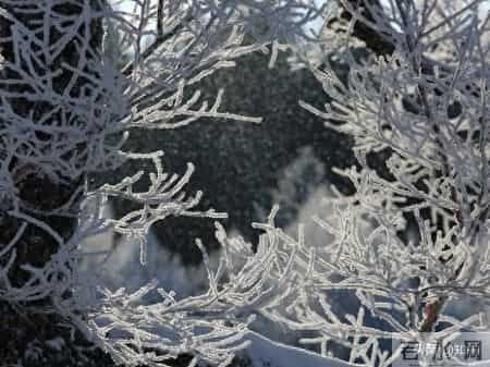 做人一定要学点江湖手段，这样才没人敢招惹你