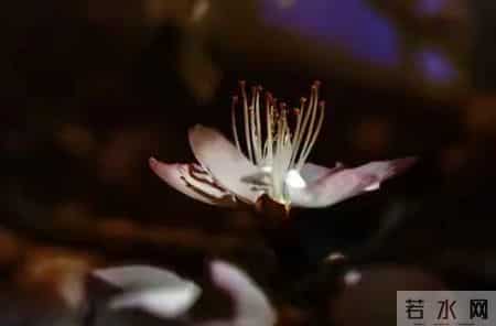 如果你已经60岁了，还可以做到下面这几点，那你真的是有福的老人