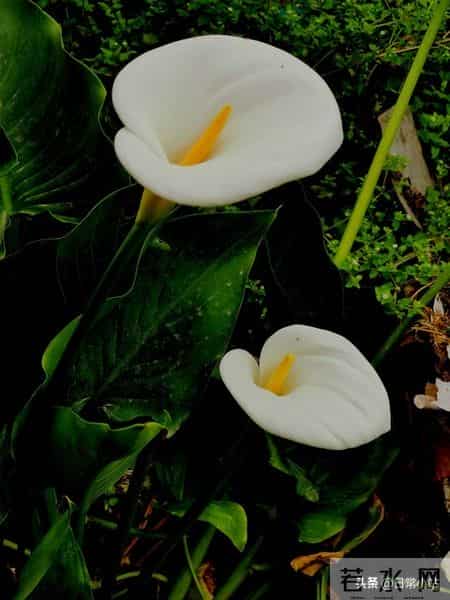 人到晚年，守住这几样才是真福气