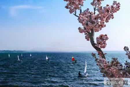 老了才明白：断尽人情往来窝家养老， 低欲生活才是人间清醒！