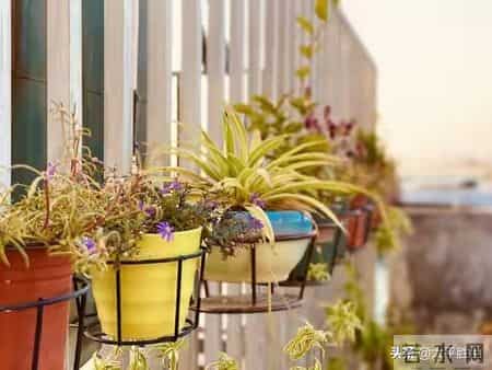 忠告子女：再孝顺，也不要为年过75岁的老父老母，做这五件事。