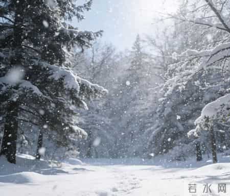 在单位里，你越是这样，领导越会重用你