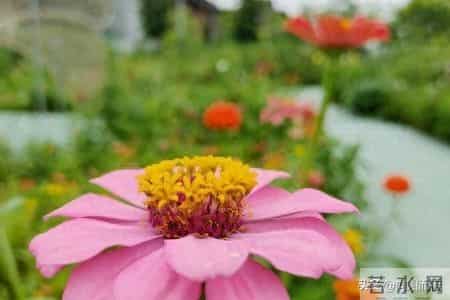 你一定要坚信，那些在背后害你的烂人，一定会受到上天的惩罚