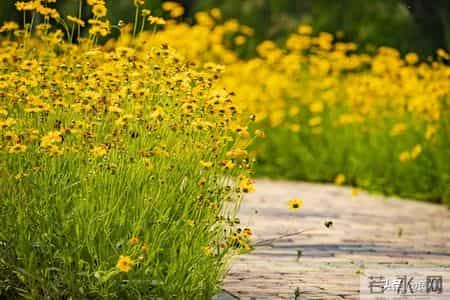 退休后才明白：50到59岁的人，2026年最好的生活方式，只有三种