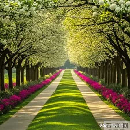 0-3岁语言爆发期抓对5点，娃从叠词党变小话痨，亲测有效！