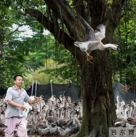 事关工资、加班费！2026年计薪天数定了