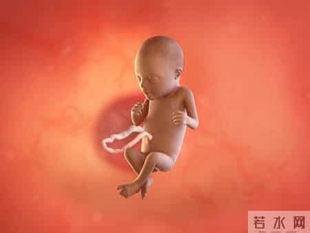 怀孕1-40周，胎儿发育每周变化！孕妈妈的干货科普