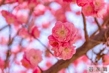 怪不得80岁老人不受子女待见，养老院3个真实现状，揭开残酷真相