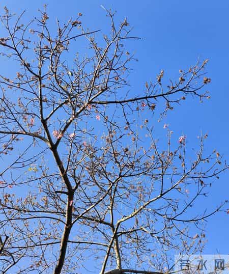 灵活就业300%档值不值？年缴5万12年回本，这两类人缴了血赚