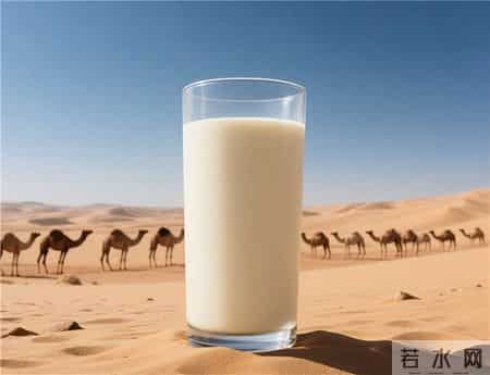 2026无糖骆驼奶粉推荐，驼奶粉哪个牌子好？