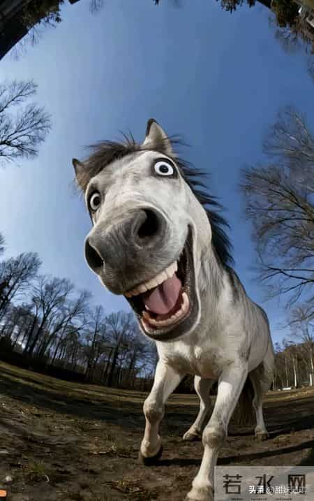 80后被嚯嚯的一代人，被打的措手不及的一代人