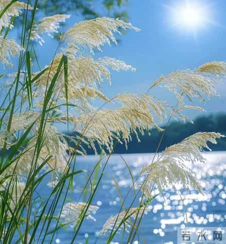 对付背后捅刀的同事，往死里整一个，众生皆服