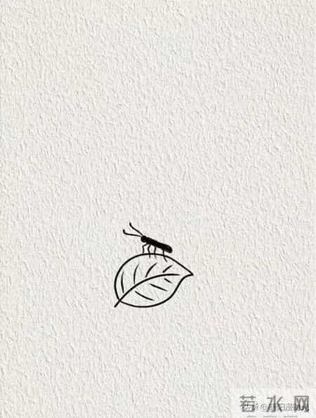 画个简笔画分享