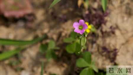【我的退休故事】：退休后养成这三个习惯，余生日子越过越舒心