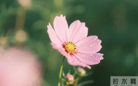 被人看不起时，聪明的活法：不纠缠，不内耗，不讨好