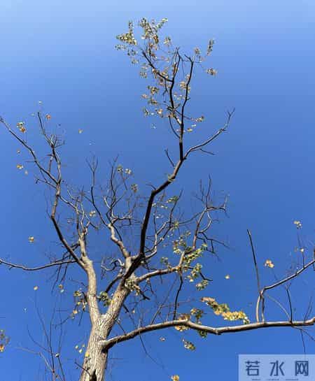 江浙鲁参保近4千万，为啥养老金结余远不如广东？核心差距在3点