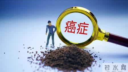 人人都怕癌，但癌细胞怕的这4种食物！每天吃一点，癌症绕或道走