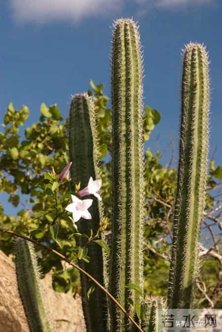 五位同学退休3年病倒2个后，我觉得：没特殊经济困难，还是躺平好