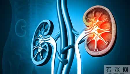 研究发现：经常走路锻炼的肾病人，过不了5月，身体会迎来4大好处