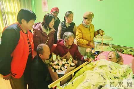 九旬老人的“第二个家”：舞钢养老院十年守护，家属再赠锦旗