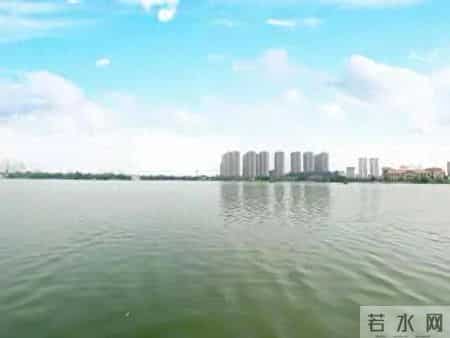 人到晚年，如果你还有80岁以上父母，必须要坚持做这四件事