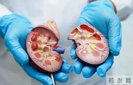 人有没有肾衰竭，看平常就知？肾病患者，日常有这6个表现！