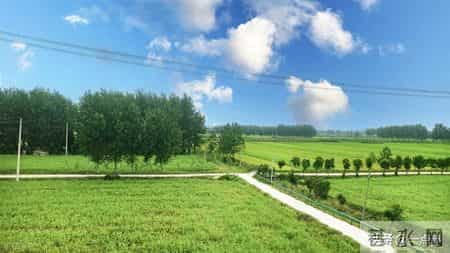 人老了才发现：成年后不跟兄弟姐妹走得太近，不是无情，而是远见